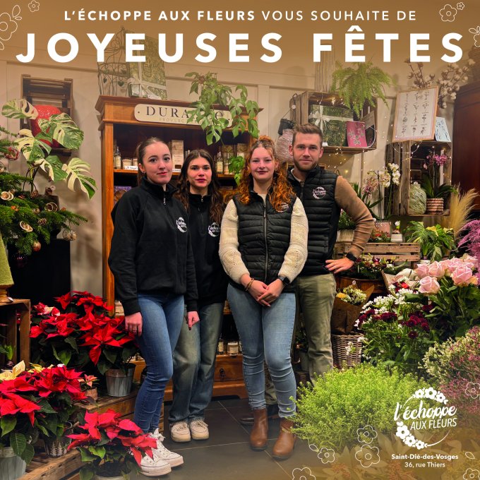 Joyeuses fêtes ✨